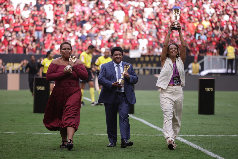 Homenagem a Pelé no Mané Garrincha — Foto: Ettore Chiereguini/AGIF