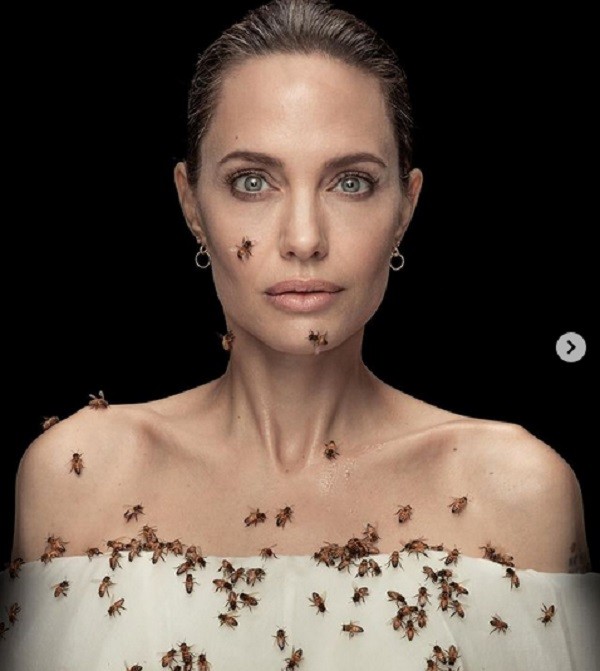Angelina Jolie com várias abelhas em seu corpo (Foto: Instagram)