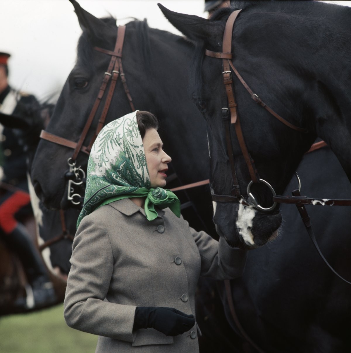 Além da paixão por cavalgar, Elizabeth II também passou a criar cavalos puros-sangues e destiná-los às corridas (Foto: Getty Images/ Reprodução)