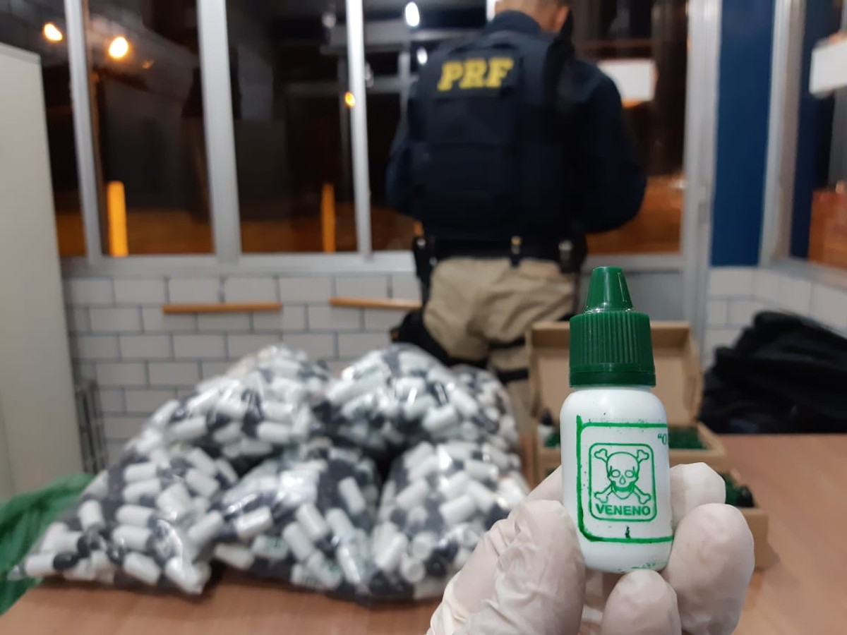 Polícia apreende pelo menos mil frascos de veneno ilegal, em Mamanguape, PB Paraíba G1