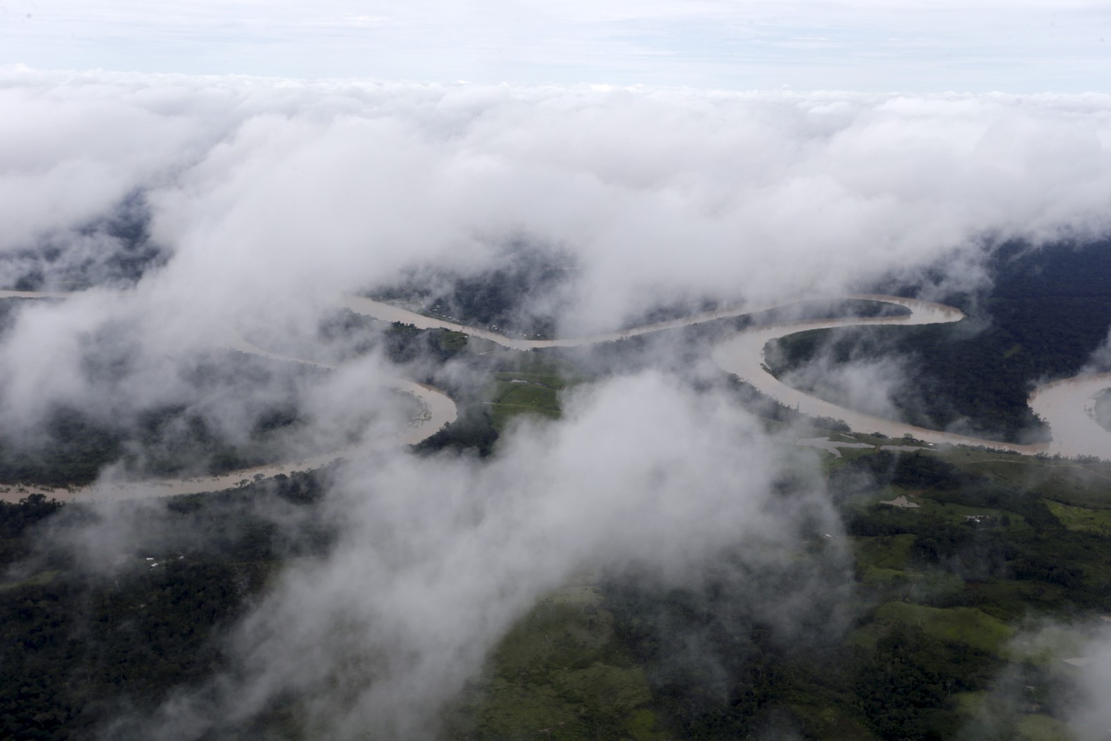 Vista de avião monomotor da Terra Indígena Kampa do Rio Amônia , na fronteira do Acre com o Peru  — Foto: Domingos Peixoto / Agência O Globo