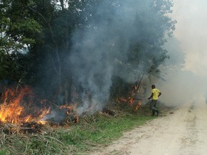 Queimadas no Poço das Antas (Foto: Divulgação/ Gustavo Luna Peixoto)