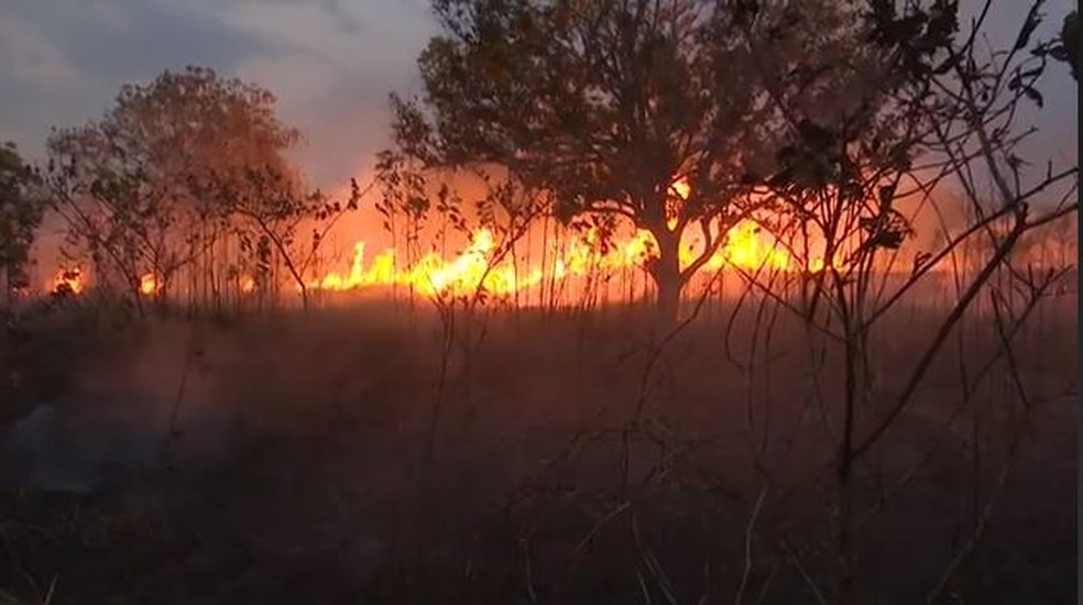 Dados da Sema apontam que o Acre registrou, até o dia 11 de maio, 23 focos de queimadas — Foto: Reprodução