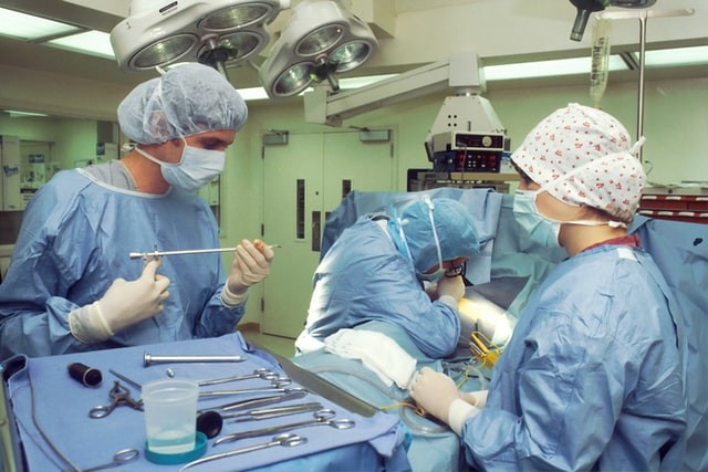 O médico-veterinário cirurgião realiza procedimentos eletivos e terapêuticos (Foto: Unsplash/ National Cancer Institute/ CreativeCommons)