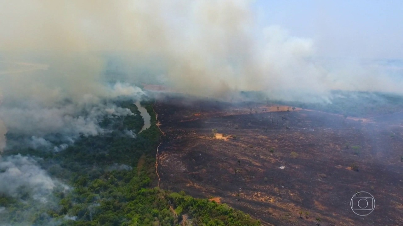 Fogo no Parque do Jalapão ameaça colheita de produto símbolo do Tocantins