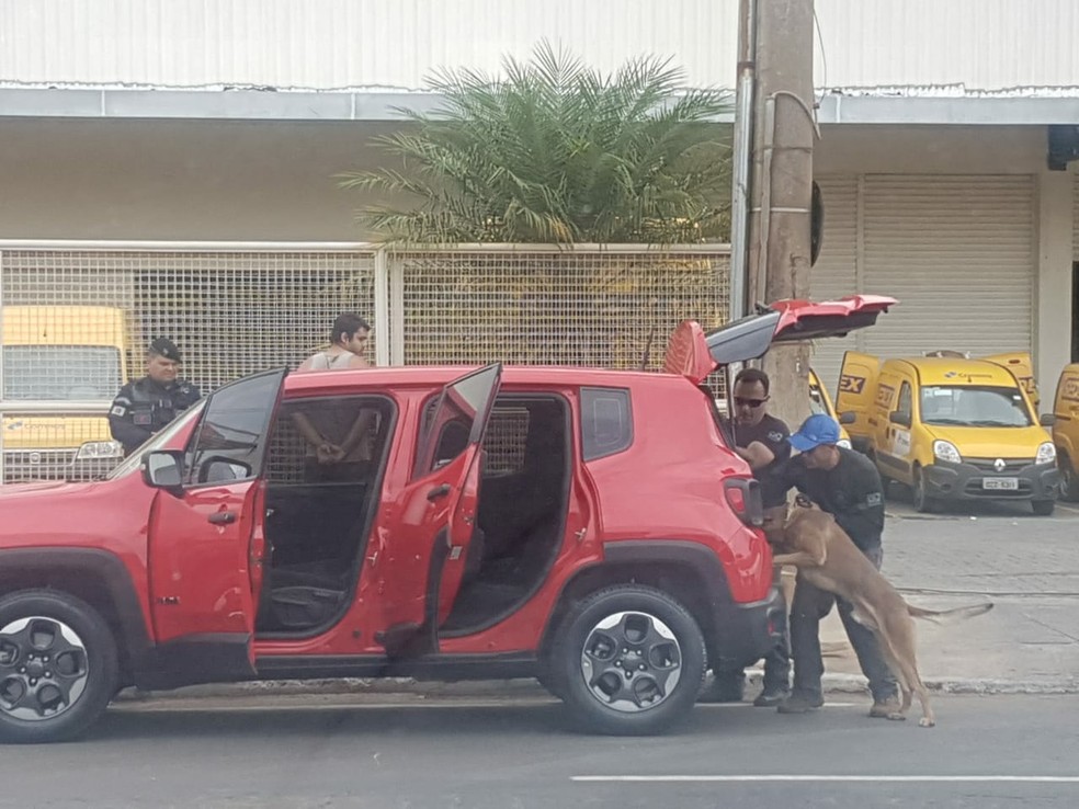 Carro de casal detido ao sair de agência dos Correis no DF com 2 kg de haxixe é vistoriado com a ajuda de cães farejadores — Foto: PMDF / Divulgação