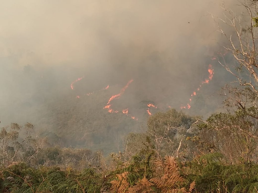 Incêndio mobiliza bombeiros na Serra da Bocaina em SP. — Foto: Cleusa Colaço / Arquivo pessoal