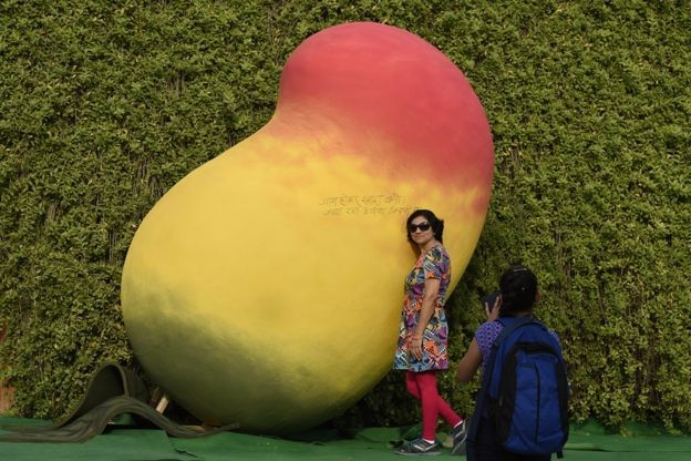 Fãs de manga - esta fruta não é de verdade! (Foto: GETTY IMAGES via BBC) Fãs de manga - esta fruta não é de verdade! (Foto: GETTY IMAGES via BBC)