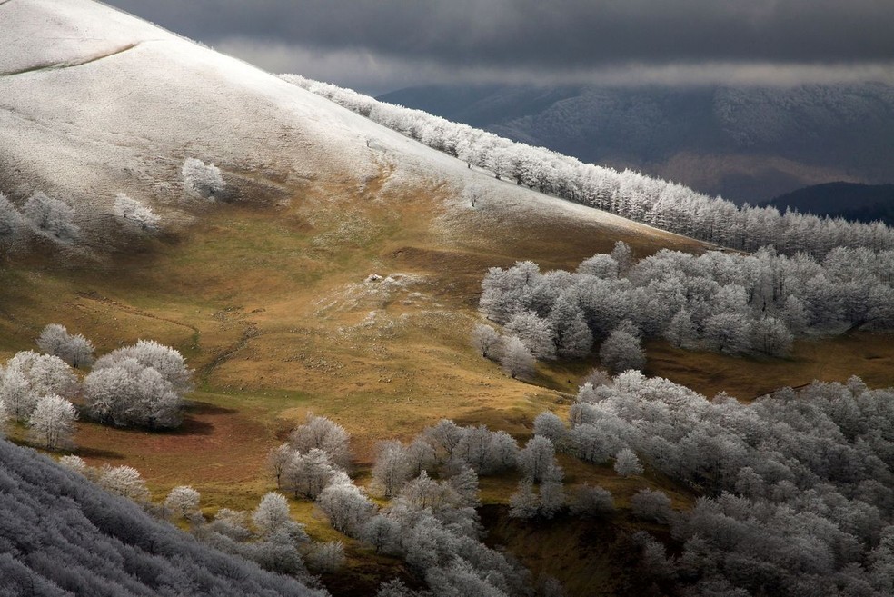 Monte Adi, em Navarra, Espanha. — Foto: Francisco Javier Munuera González/TNC Photo Contest