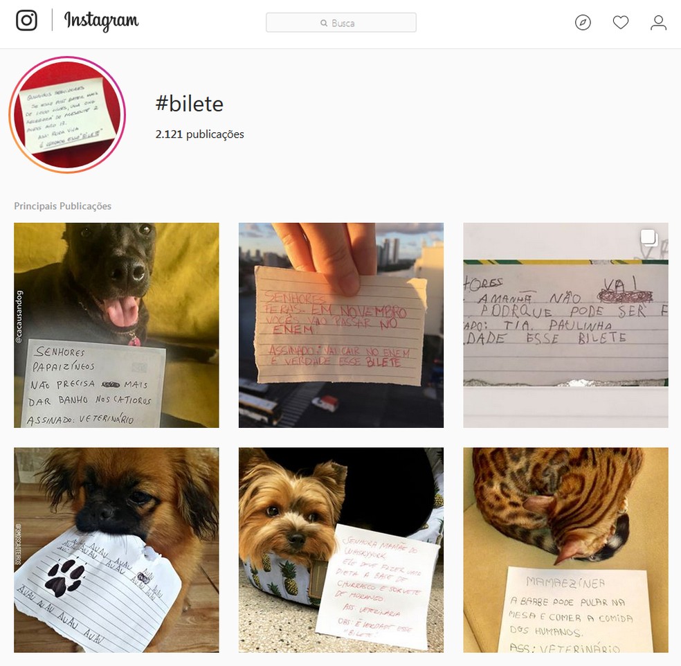 Mais de dois mil posts já foram feitos com a hashtag 'bilete' no Instagram (Foto: Reprodução/instagram)
