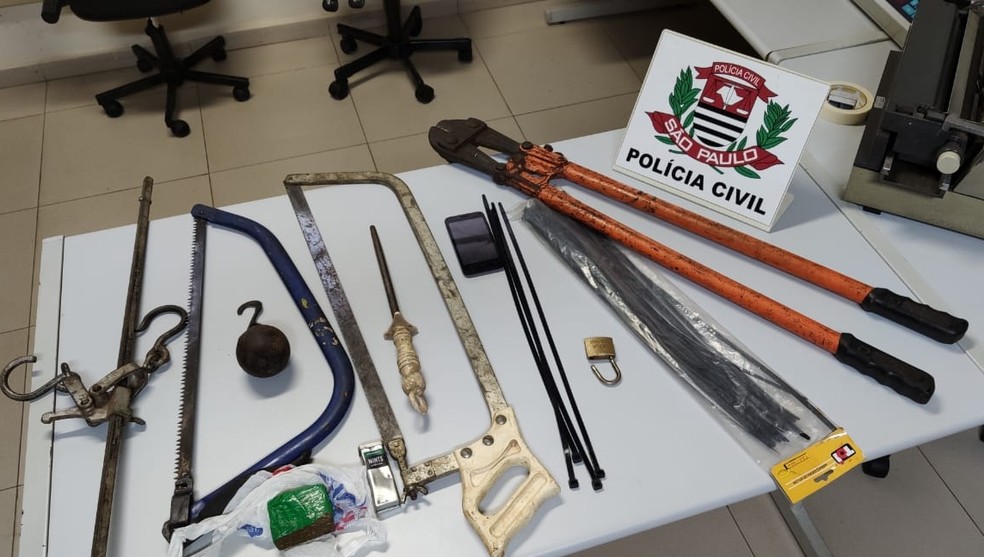 Polícia apreendeu instrumentos utilizados no abate de animais e cerca de 70 gramas de maconha em Lins — Foto: Polícia Civil/Divulgação