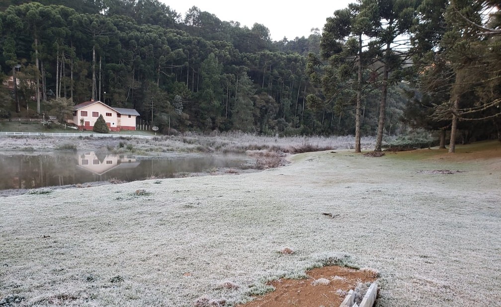 Monte Verde (MG) teve geada durante a madrugada (Foto: Nelson Pacheco)