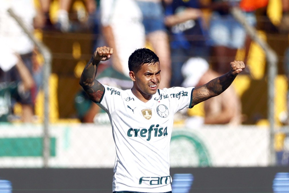 Dudu comemora gol em Novorizontino x Palmeiras — Foto: Thiago Calil/AGIF