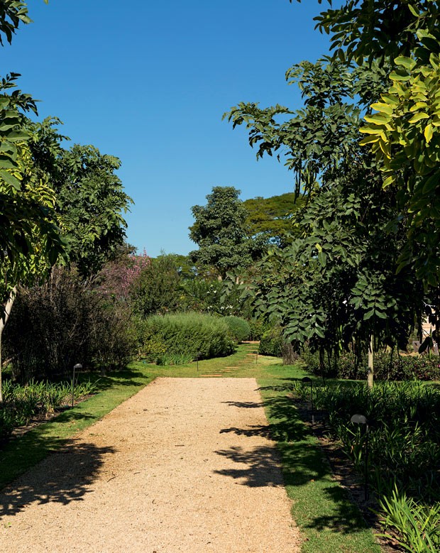 jardim-gramado-paisagista-rodrigo-oliveira-cassias-agapantos-pedriscos (Foto: Gui Morelli/Editora Globo)