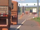 Cobrança de pedágio para caminhões vazios continua na MT-130
