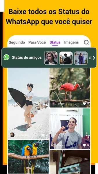 Vstatus Download Techtudo