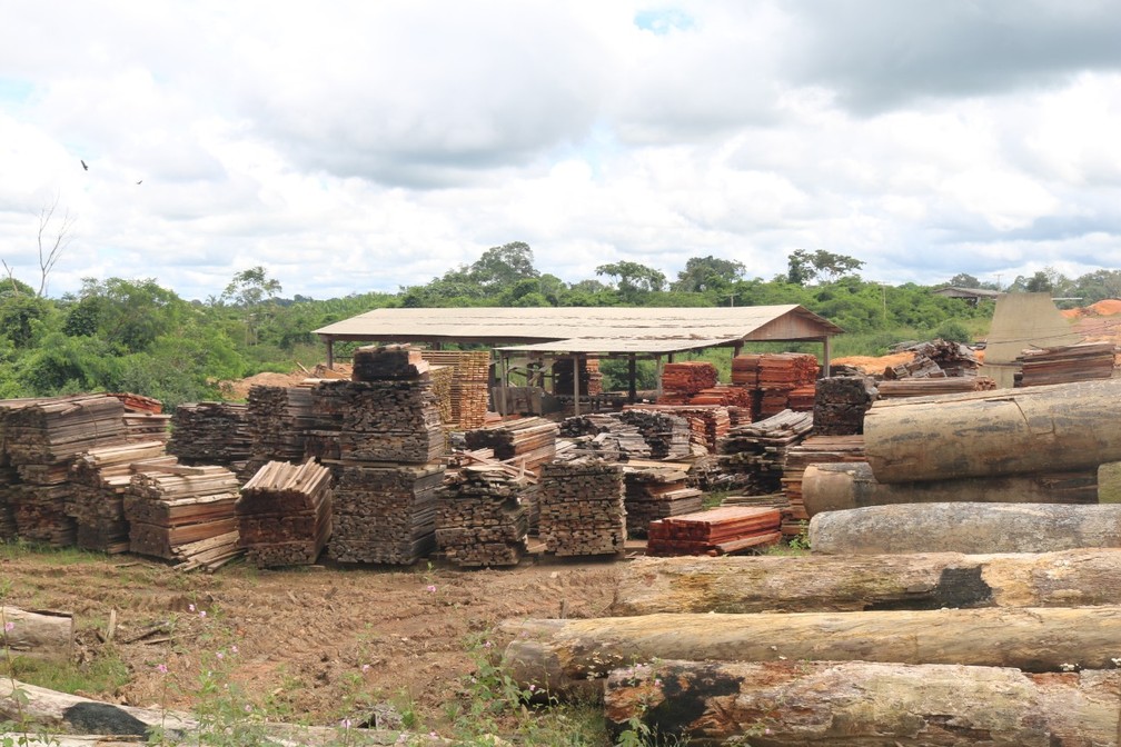 Madeireira é multada em mais de R$ 190 mil em Manicoré — Foto: Divulgação