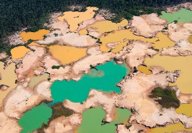 As maiores faixas de floresta remanescentes do mundo estão desaparecendo rapidamente (Foto: GETTY IMAGES (via BBC))