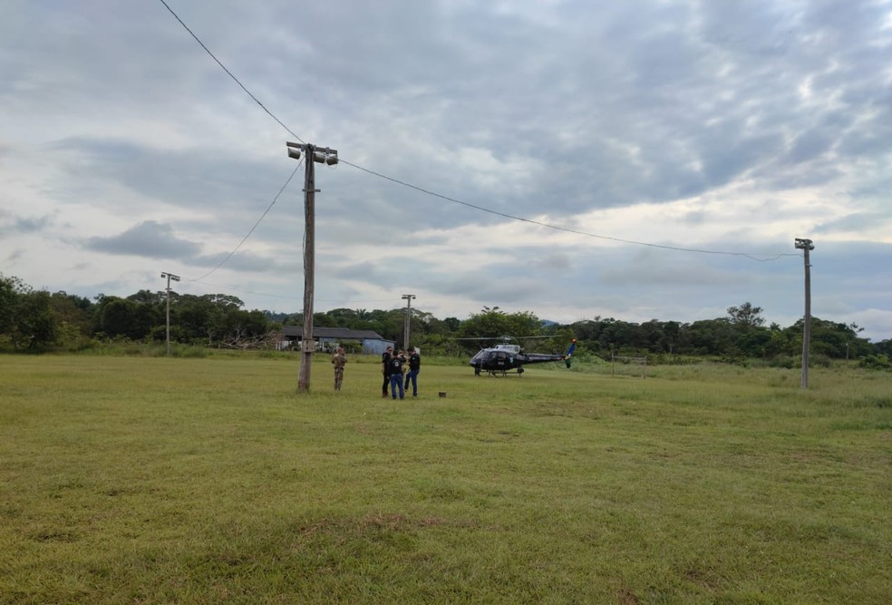 Operação Erva Daninha em Rondônia — Foto: PC-RO/Divulgação