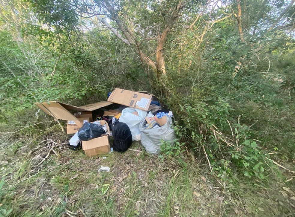 Parte do material recuperado pela PF que estava em caminhão dos Correios roubado em Caxias — Foto: Divulgação/Polícia Federal