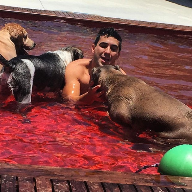 André Marques nada com pet em piscina de casa no Rio - Quem