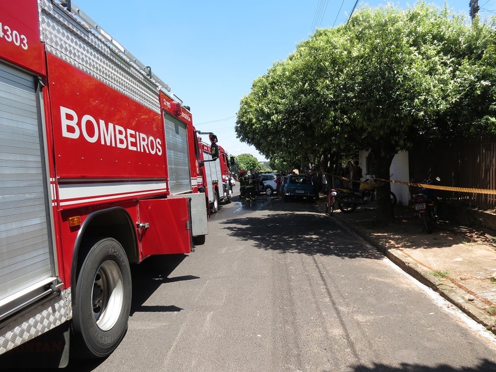 Bombeiros controlaram as chamas no Jardim Santa Clara (Foto: Jorge Zanoni/Cedida)