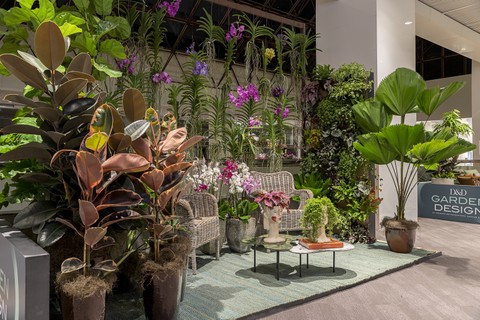 André Pedrotti -A ideia foi criar um ambiente revigorante, um espaço para recarregar as energias. Uma profusão de plantas e flores para que a pessoa se desligue do mundo real e curta a beleza da natureza. Remete a um jardim fantástico, repleto de orquídeas vandas, marantas variadas e ficus elástica.