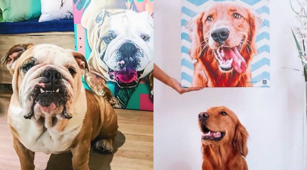 Esta jovem transforma pets em pinturas e faz sucesso na internet - Pequenas  Empresas Grandes Negócios