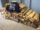 Polícia Federal apreende 200 quilos de maconha na Grande BH