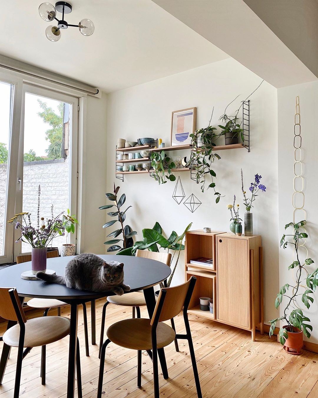 Décor do dia: sala de jantar pequena com muitas plantas e detalhes em madeira (Foto: Divulgação)