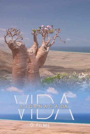 A Jornada da Vida - O Filme | Assista online ao filme no Globoplay
