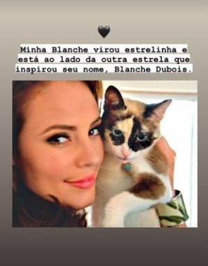 Stories em que Paolla Oliveira presta homenagem a sua gata, Blanche (Foto: Reprodução/Instagram)