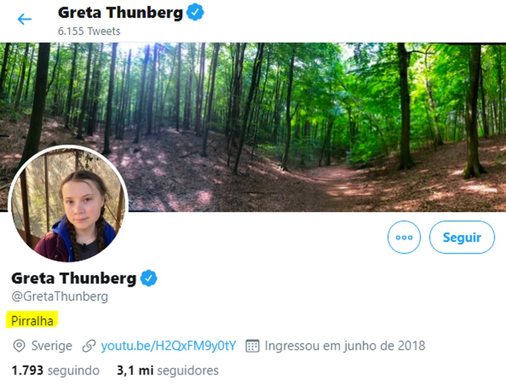 Greta Thunberg muda sua descrição biográfica no Twitter após Bolsonaro chamá-la de 'pirralha'. — Foto: Reprodução/Twitter