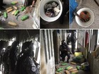 GOE encontra celulares, bebidas, facas e drogas em penitenciária do RN