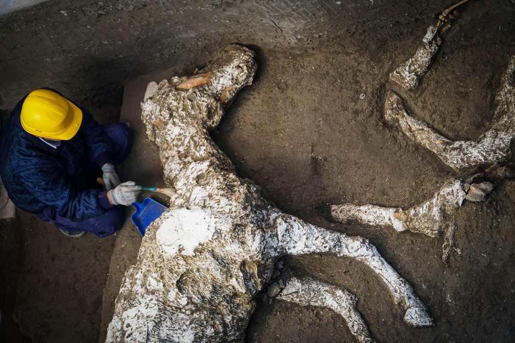 ArqueÃ³logo inspeciona os restos de um esqueleto de cavalo no sÃ­tio arqueolÃ³gico de PompÃ©ia, na ItÃ¡lia â€” Foto: Cesare Abbate/AP