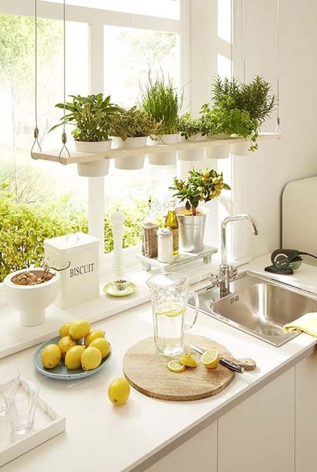 Top 10 cozinhas decoradas com plantas (Foto: divulgaçao )