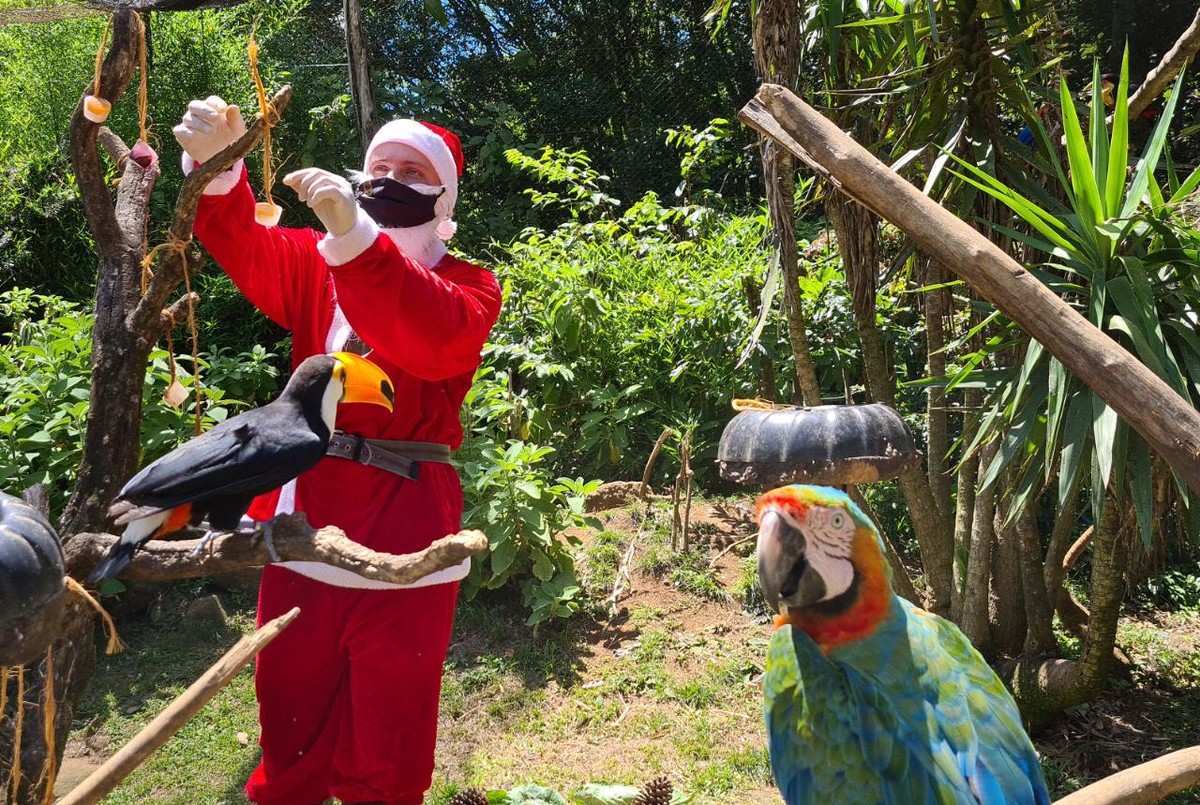 Animais do zoológico de Gramado ganham picolés especiais de presente de Natal Rio Grande do