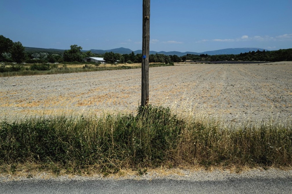 Campo seco em Grignan, sudoeste da França (19/06/22). Onda de calor quebrou recordes no país. — Foto: OLIVIER CHASSIGNOLE/AFP