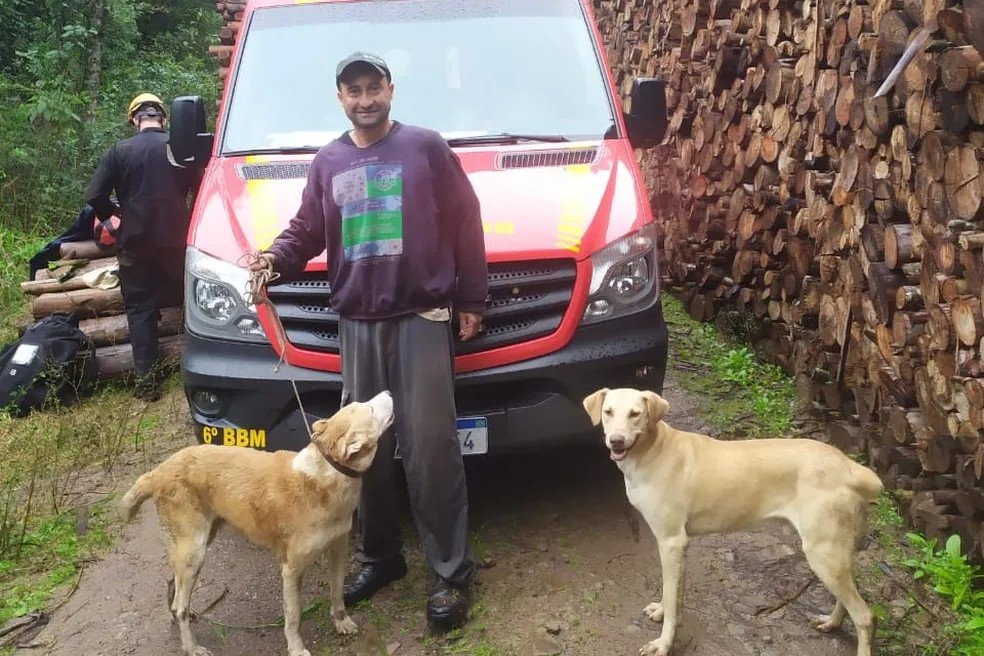 Bombeiros descem 25 metros de rapel em ribanceira para resgatar cão no RS