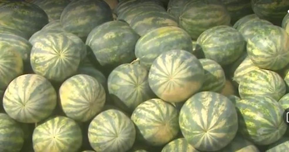 Quase dois mil quilos de melancias foram doados a instituições carentes de Rio Branco por produtor rural — Foto: Reprodução/Rede Amazônica Acre