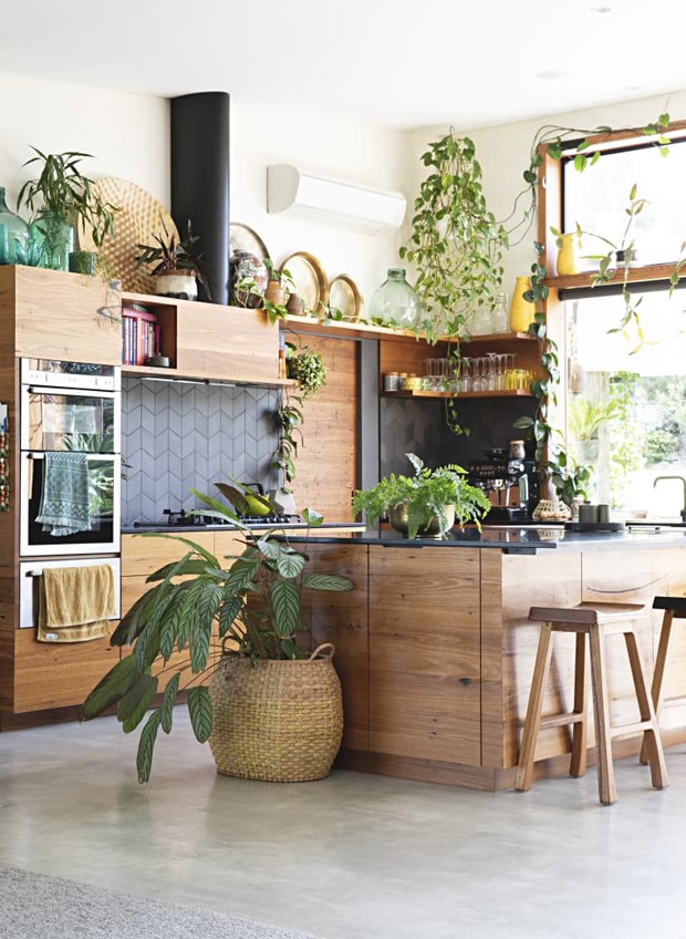 Décor do dia: muitas plantas na cozinha integrada (Foto: Natalie Jeffcott/Divulgação)