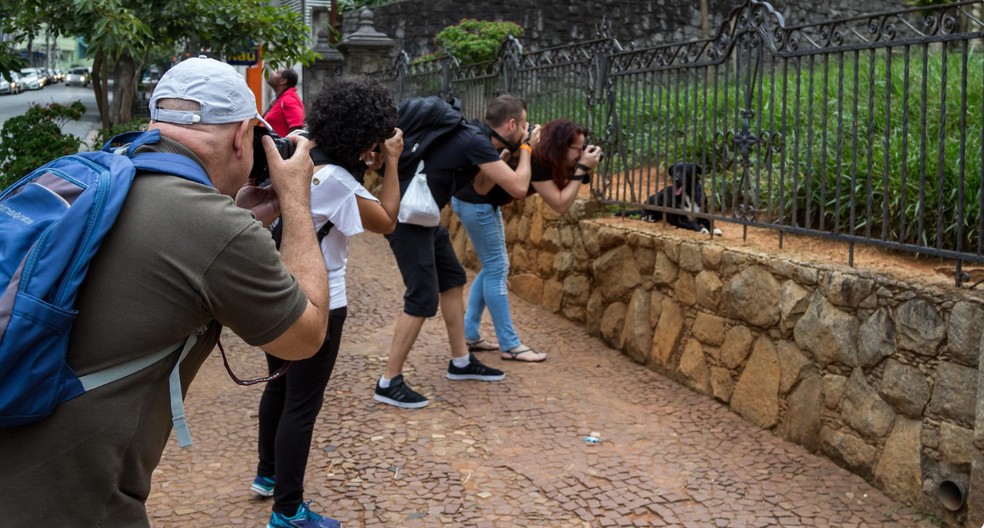 Experiência no entorno da Av. Paulista reúne grupos para fotografar, buscar novos ângulos e olhares pela metrópole — Foto: Acervo pessoal