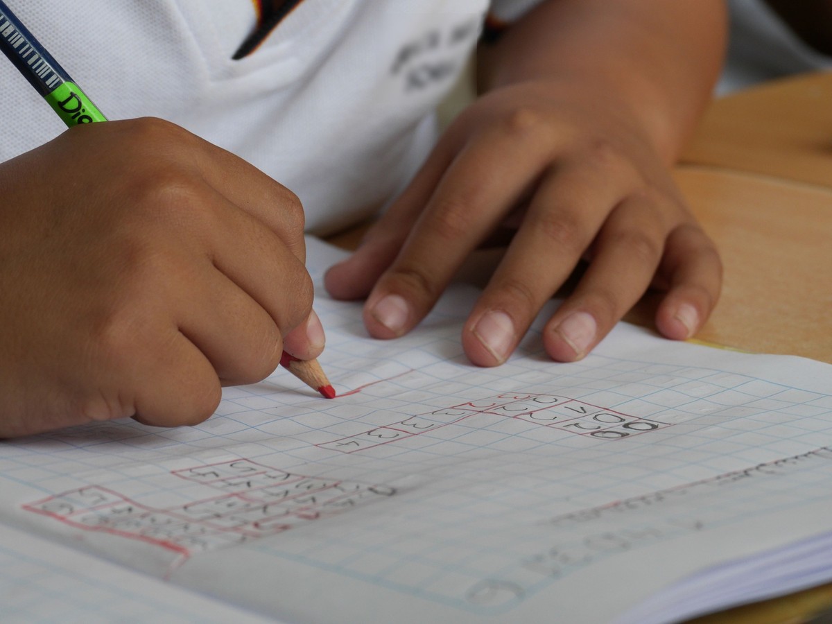 58% reprovam e 15% aprovam as políticas do governo na educação, aponta pesquisa