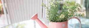 Aposte no jardim artificial para decorar os ambientes de casa (Shutterstock)