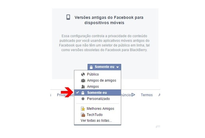 Alterando a privacidade de publicações feitas nas versões antigas do Facebook para dispositivos móveis (Foto: Reprodução/Lívia Dâmaso)