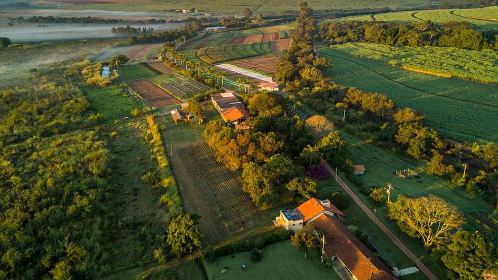 O Sítio A Boa Terra, do holandês Joop Stoltenborg, é o sétimo certificado como orgânico no Brasil (Foto: Sítio A Boa Terra)