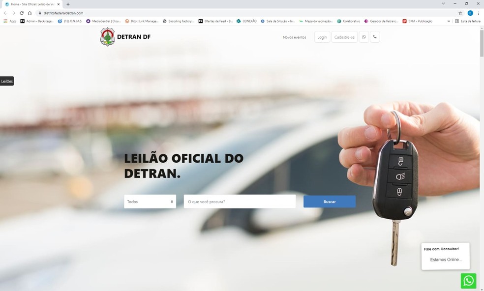 Site falso de Leilão do Detran-DF — Foto: Reprodução