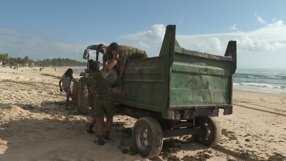 Exército ajuda na retirada do óleo das praias do Cabo de Santo Agostinho — Foto: Reprodução/TV Globo