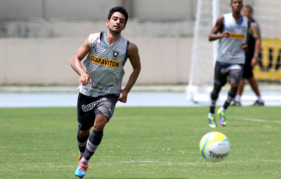 Daniel jogou no Botafogo em 2013 e deixou o clube no fim do ano seguinte para defender o São Paulo  — Foto: Luciano Belford / SSPress
