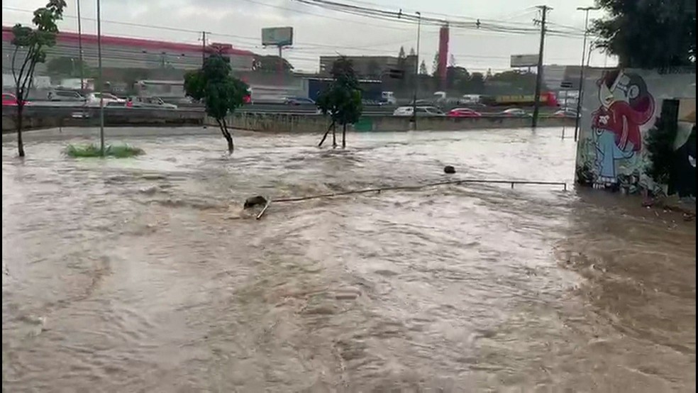 Alagamento em Guarulhos, na Grande São Paulo, nesta quinta (5) — Foto: Reprodução/TV Globo